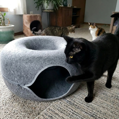 PurrNest - Le trois-en-un pour chats heureux