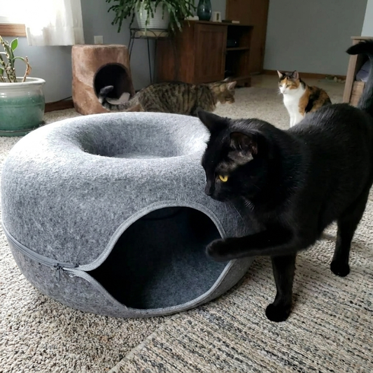 PurrNest - Le trois-en-un pour chats heureux