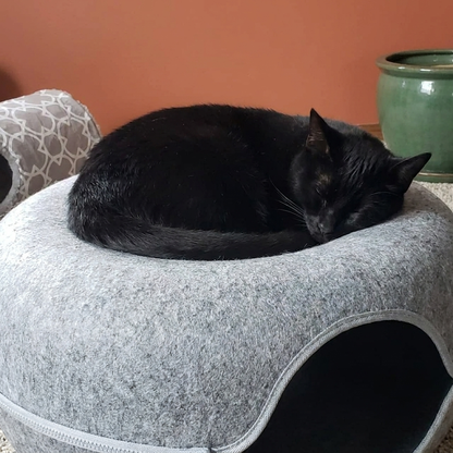 PurrNest - Le trois-en-un pour chats heureux